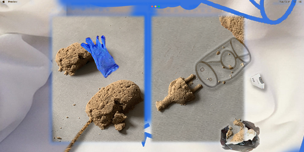 Kaisa Sööt, Koit Randmäe, Pieterjan Ginckels 7. Artishoki biennaalil ja Katrin Piile Draakoni galeriis. Kollaaž: Mai Bauvald