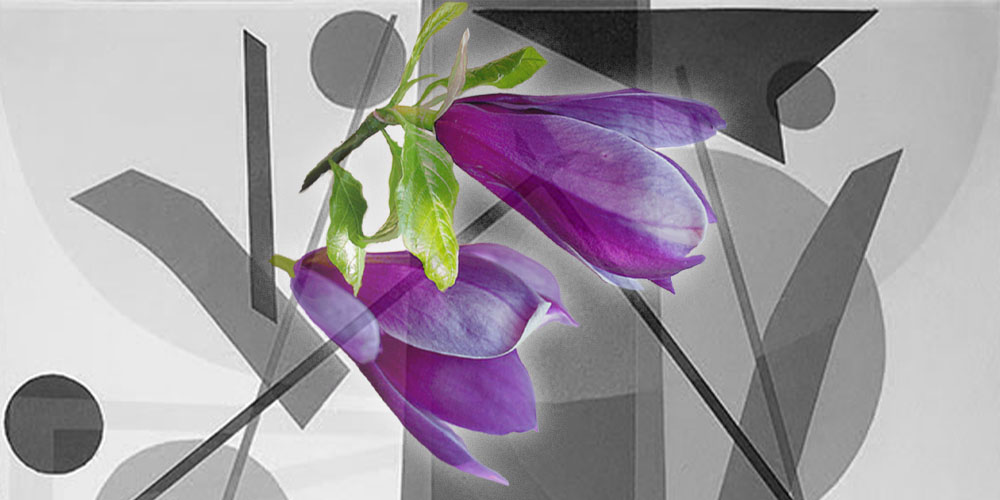 Maret Olvet Vabaduse galeriis. Kollaaž: Mai Bauvald